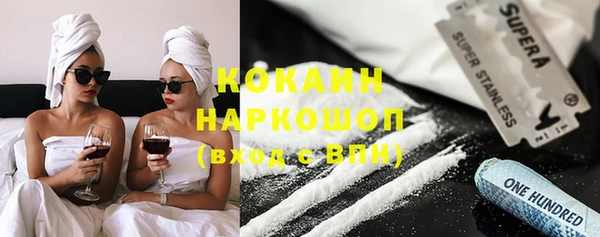 гашик Алексин
