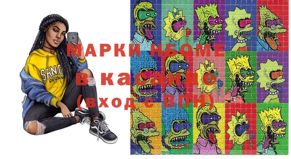 гашик Алексин