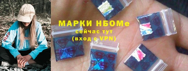 гашик Алексин