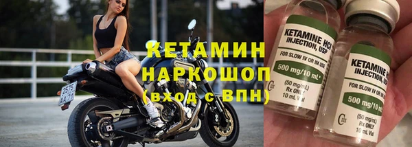 гашик Алексин