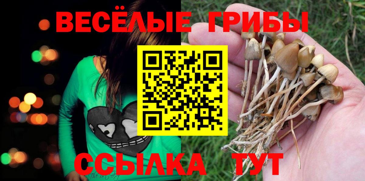 даркнет сайт  Вход с VPN  Галлюциногенные грибы Cubensis  Электрогорск  Псилоцибиновые грибы Magic Shrooms 