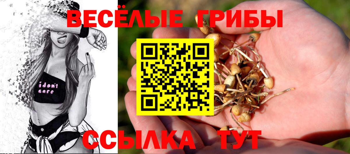 Галлюциногенные грибы GOLDEN TEACHER Электрогорск